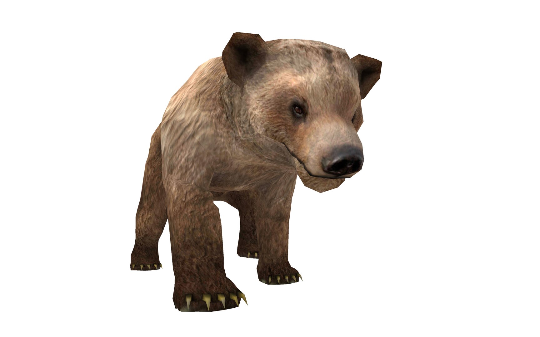 wild animal bear 3D https://p.turbosquid.com/ts-thumb/pi/8t60eW/1GGPC3cd/5/jpg/1583138581/1920x1080/fit_q87/b9d306fc59a448efba8c9edf9e2dca9adaed7b9e/5.jpg