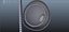Blastocyst
