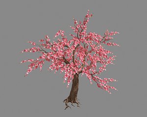 peach tree 68 3D model