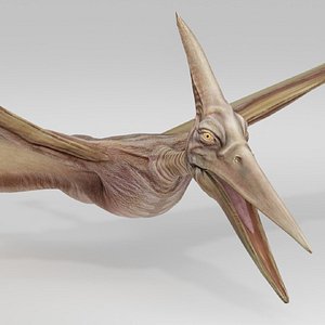 Realistic Pterodactyl Flying Pterosaur Creature