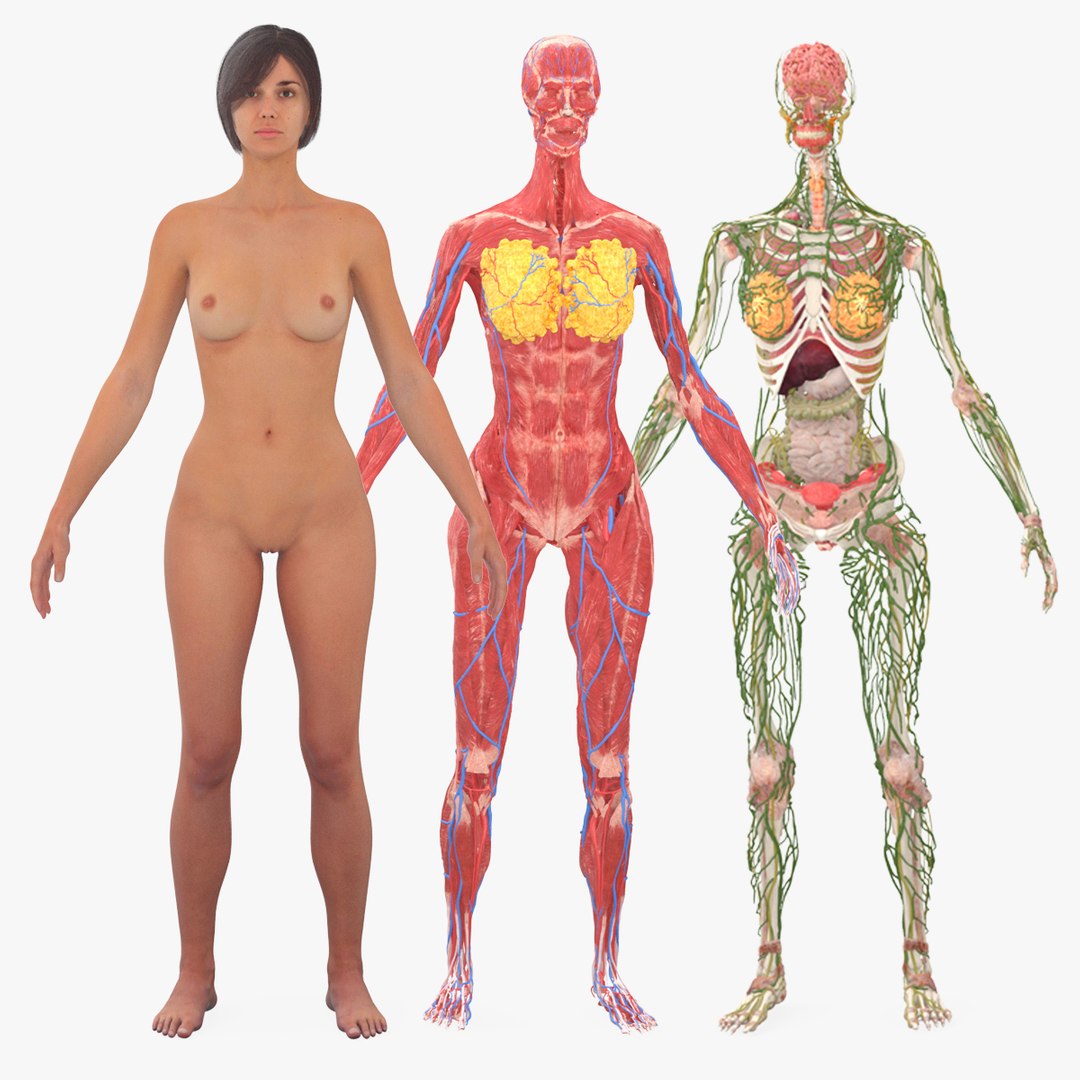 Defect - Realistic Female Full Anatomy
