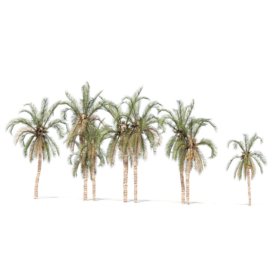 3D Street Date Palms array https://p.turbosquid.com/ts-thumb/pi/ZKU41y/GZ/05pp/jpg/1686876130/1920x1080/fit_q87/6094a1b68d09b9ded2163c4bec4c53491863c841/05pp.jpg