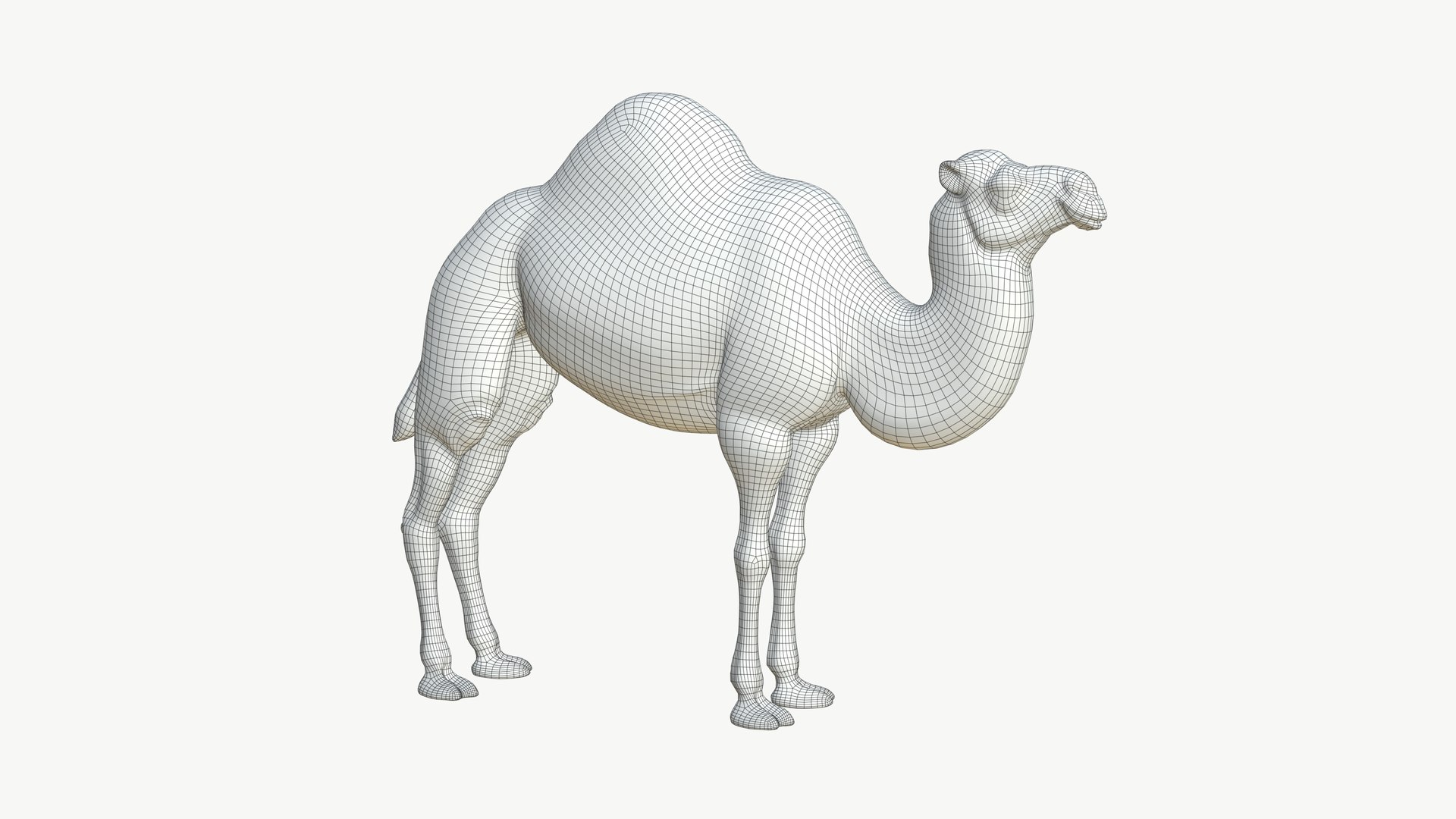 3D Realistic 3D Camel Model Game-Ready https://p.turbosquid.com/ts-thumb/pi/f2BToC/7d/camel3dmodel10/jpg/1759267510/1920x1080/fit_q87/08d550af1694da7d39937c608e30a21f225235cb/camel3dmodel10.jpg