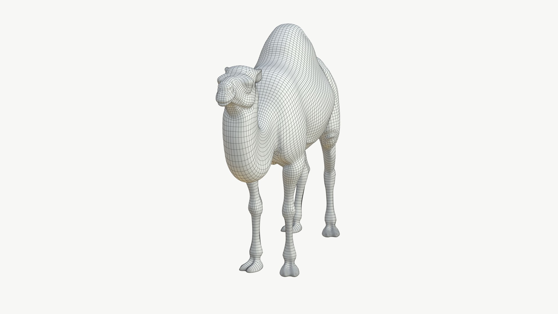 3D Realistic 3D Camel Model Game-Ready https://p.turbosquid.com/ts-thumb/pi/f2BToC/9v/camel3dmodel13/jpg/1759267512/1920x1080/fit_q87/28d01384d963d3c03ffb5c9081eb5b5554afec13/camel3dmodel13.jpg