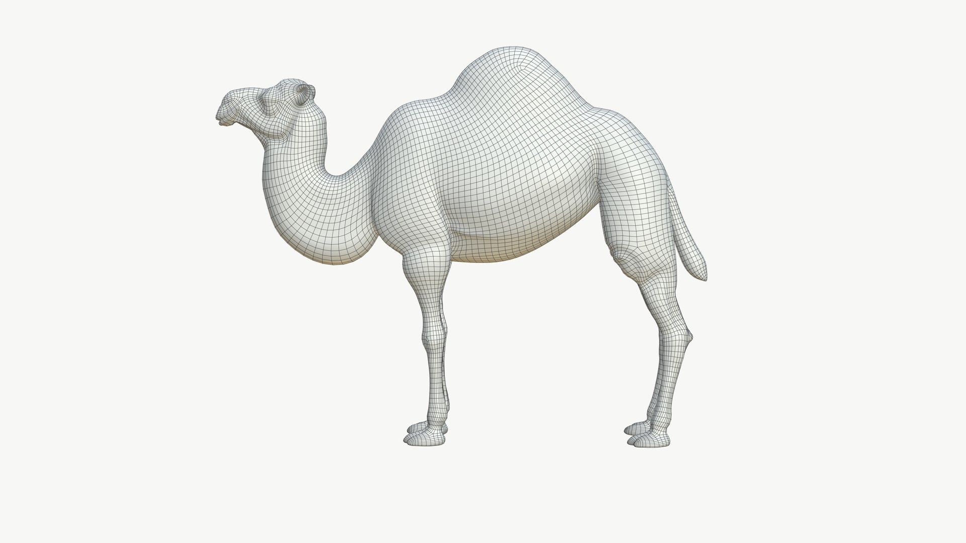 3D Realistic 3D Camel Model Game-Ready https://p.turbosquid.com/ts-thumb/pi/f2BToC/N6/camel3dmodel12/jpg/1759267511/1920x1080/fit_q87/706bfb5796d24935361c78ff55a8f91a58602bd2/camel3dmodel12.jpg