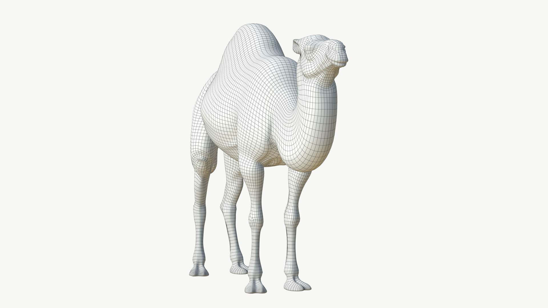3D Realistic 3D Camel Model Game-Ready https://p.turbosquid.com/ts-thumb/pi/f2BToC/kM/camel3dmodel14/jpg/1759267512/1920x1080/fit_q87/ab596cce71cd0ebcaa43d4ab690601fbdbe10d4b/camel3dmodel14.jpg