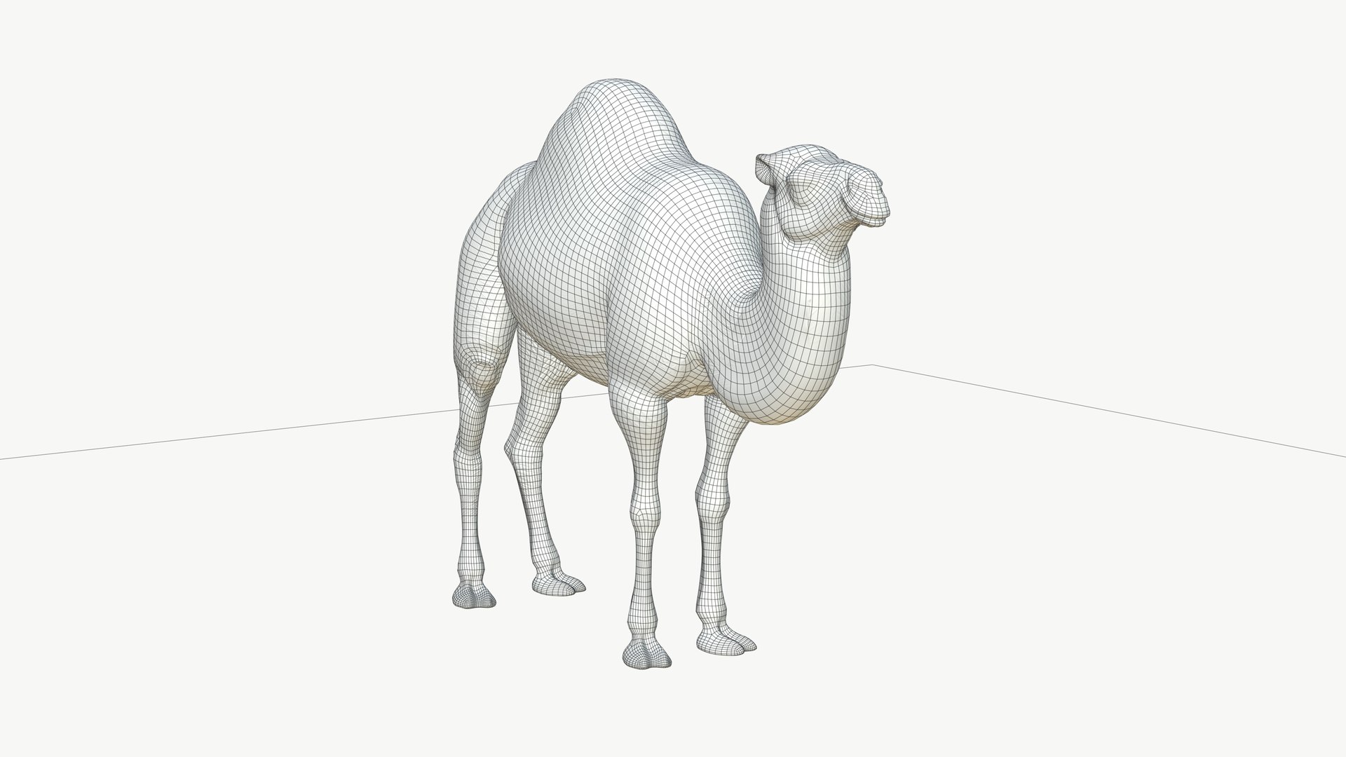 3D Realistic 3D Camel Model Game-Ready https://p.turbosquid.com/ts-thumb/pi/f2BToC/nM/camel3dmodel09/jpg/1759267509/1920x1080/fit_q87/f5ffada307c25c4afcf48a0aafa91e55779fa949/camel3dmodel09.jpg