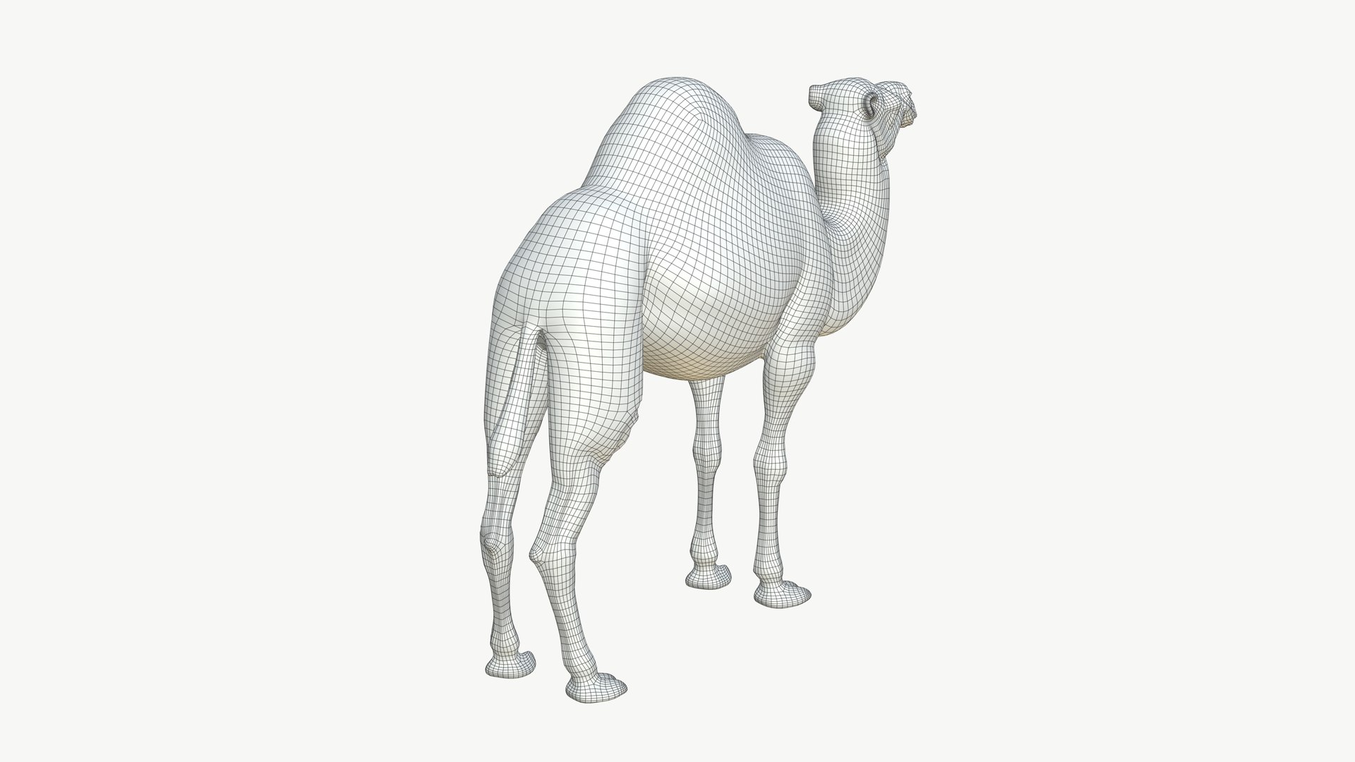 3D Realistic 3D Camel Model Game-Ready https://p.turbosquid.com/ts-thumb/pi/f2BToC/pW/camel3dmodel11/jpg/1759267511/1920x1080/fit_q87/a3139b0cf8ede7f4e1ba80948e22c5979aae17ca/camel3dmodel11.jpg