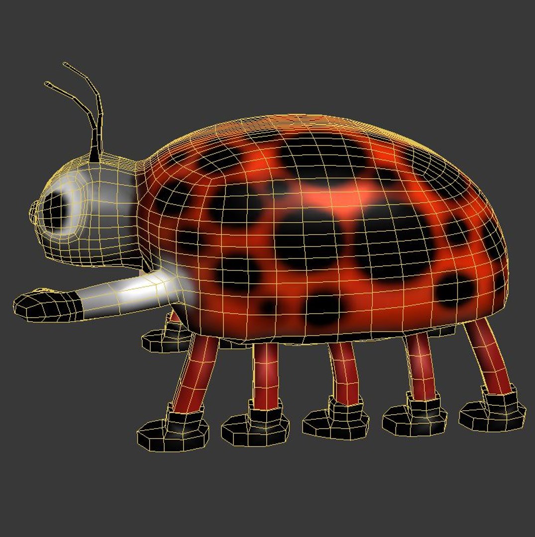 3d Model Beetle Insect