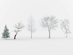 3D model winter trees