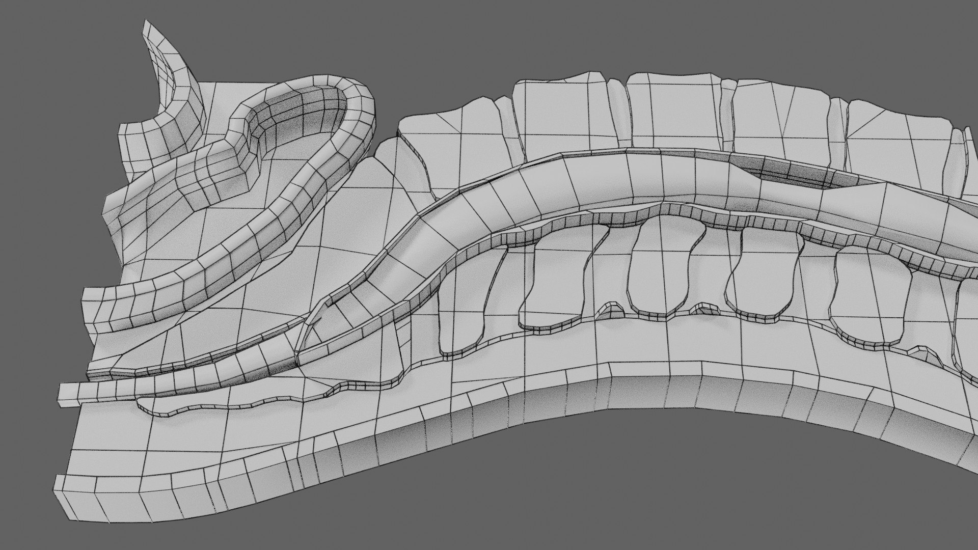 Spina bifida Neural Tube Defect 3D model https://p.turbosquid.com/ts-thumb/pi/sa5DPR/zS/wf0020/jpg/1742532007/1920x1080/fit_q87/55c1203c20842f852f30a61768bcc4c36243d31c/wf0020.jpg