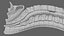 Spina bifida, anomalie du tube neural