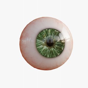 Eyes