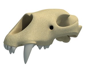 3D lion skull model