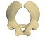 Animal Pelvis V5