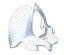 Animal Pelvis V5