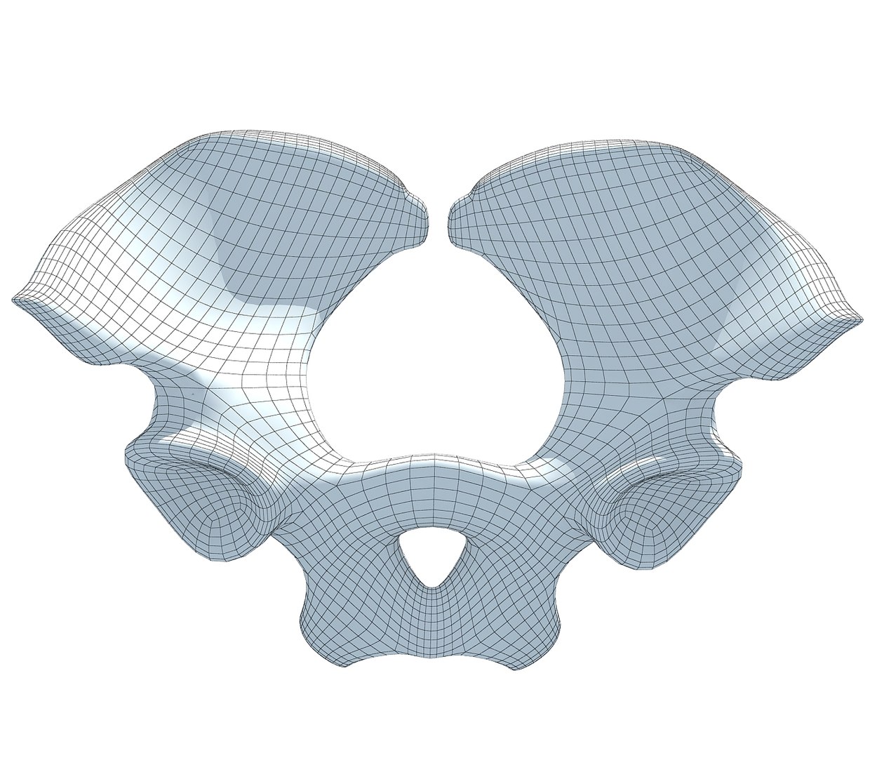3D model animal pelvis https://p.turbosquid.com/ts-thumb/pj/50Zr0z/uQMe2guz/3dpelvis8/jpg/1499610801/1920x1080/fit_q87/b370e7d66e209760470b960d580b766f244ec9a3/3dpelvis8.jpg