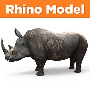 3D realistic rhino model