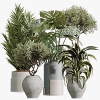 AV Indoor Plants Set 503 Dracaena Warneckii Olive Elegant Monstera Areca Palm
