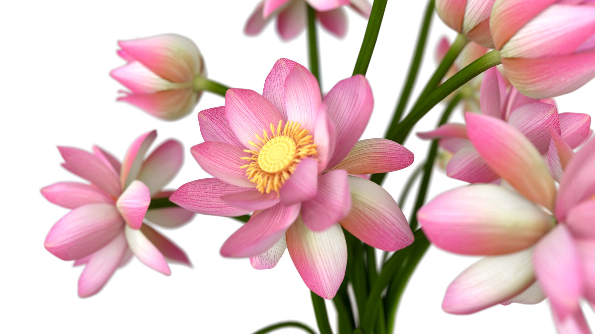 3D Model Lotus Flower Vase TurboSquid 2085182