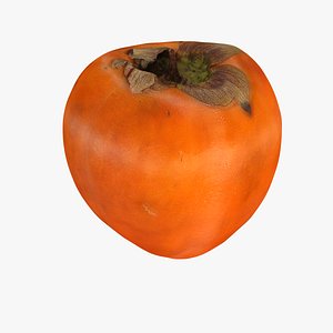 persimmon fruit 3d model