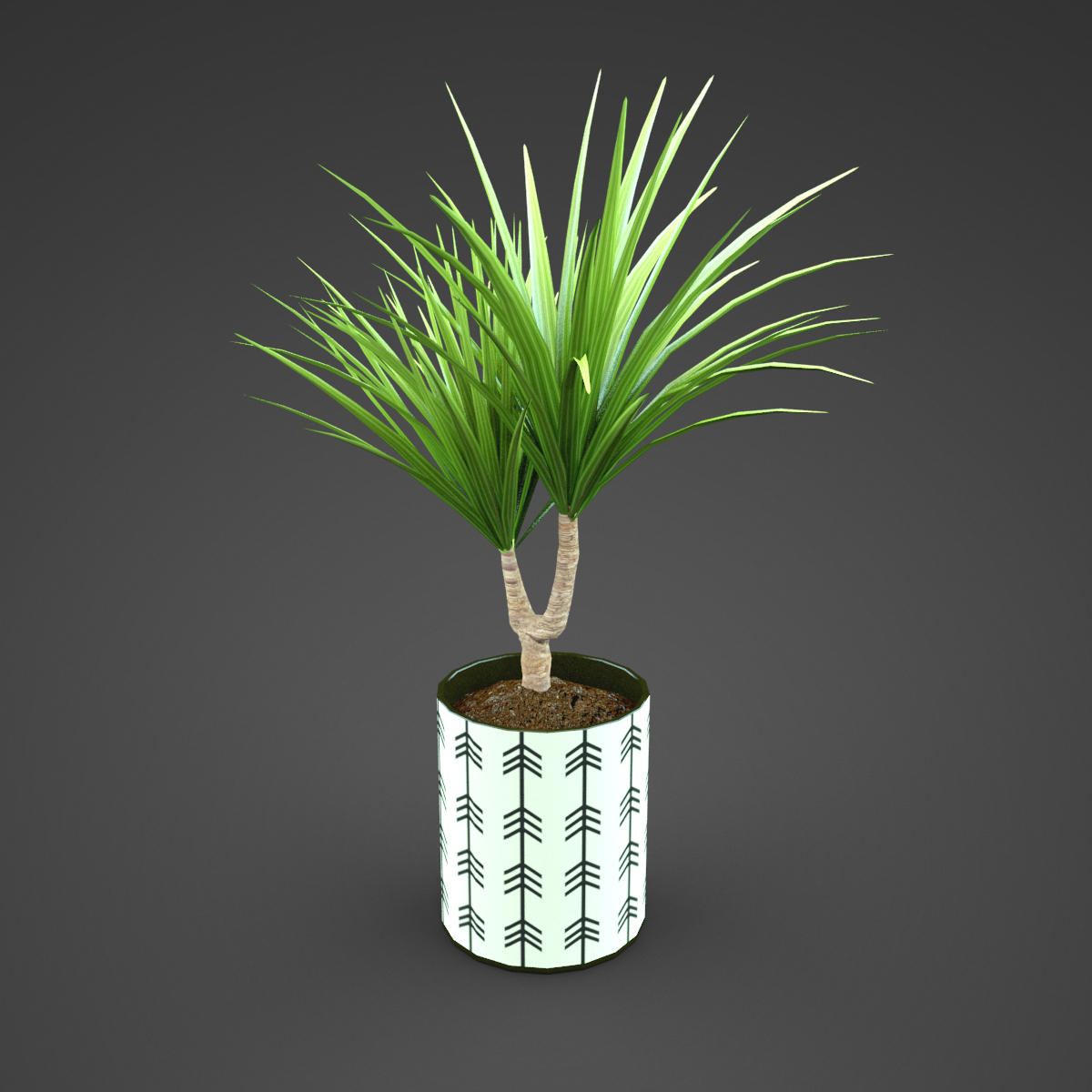 Plant Home Yucca 3d Model