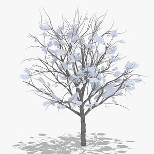 hawthorn winter hight poly