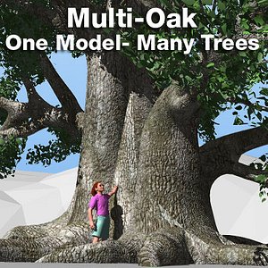 tree oak lightwave single 3d model