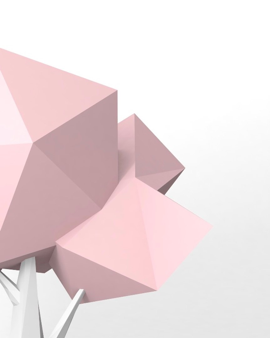 polyplanttree 3D model https://p.turbosquid.com/ts-thumb/pj/fVJ3hH/W6LRDlKm/screenshot20181025at21.13.57/jpg/1540462465/1920x1080/fit_q87/2d5bb7c1affcc06c5251d5e2dcc72aafb5ffa68d/screenshot20181025at21.13.57.jpg