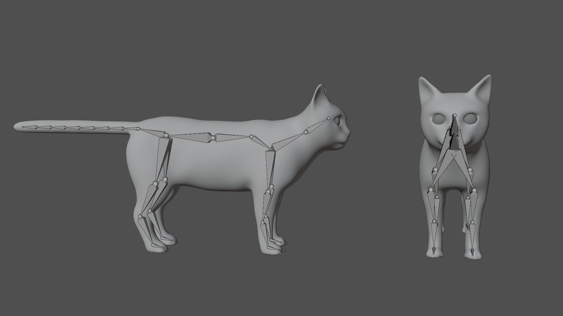 Rigged Cat 3D Model - TurboSquid 1779406
