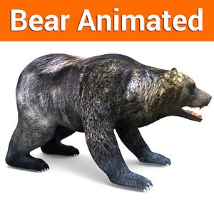 Bear low poly Animated