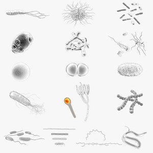 Microscopic Life Collection 01
