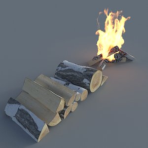 Firewood - Oak and Birch