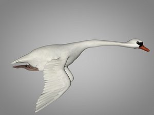 Swan