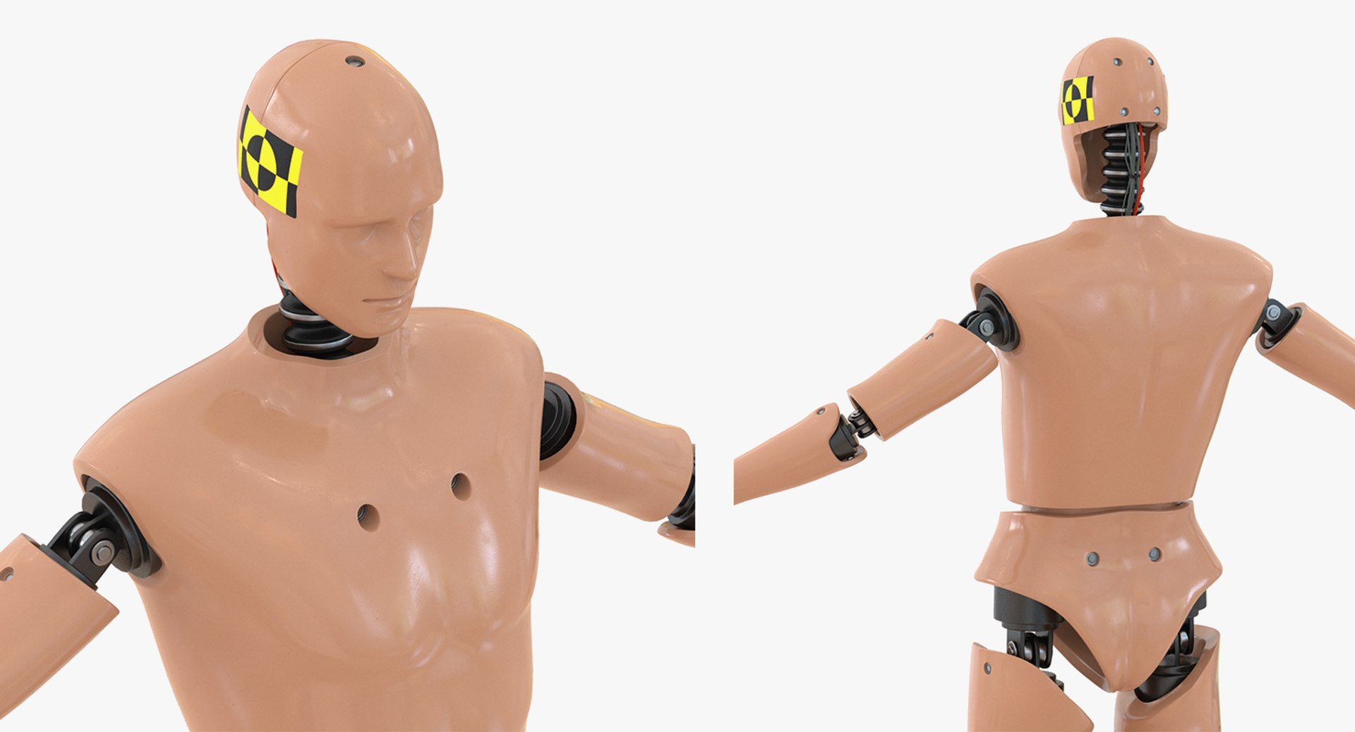 3D crash test dummies 3 https://p.turbosquid.com/ts-thumb/pk/UDQ2iA/m19qEwN9/riggedcrashtestdummiescollection3c4dmodel017/jpg/1550566468/1920x1080/fit_q87/578c045c3ca67f06a0ebd462cc7c3236a4bad3cb/riggedcrashtestdummiescollection3c4dmodel017.jpg