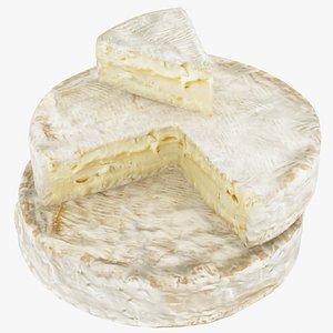 Cheese 04 - Brie de Meaux