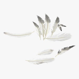 3D model scattered feathers small