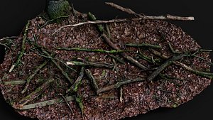 forest ground broken tree branches pt1 PBR photogrammetry