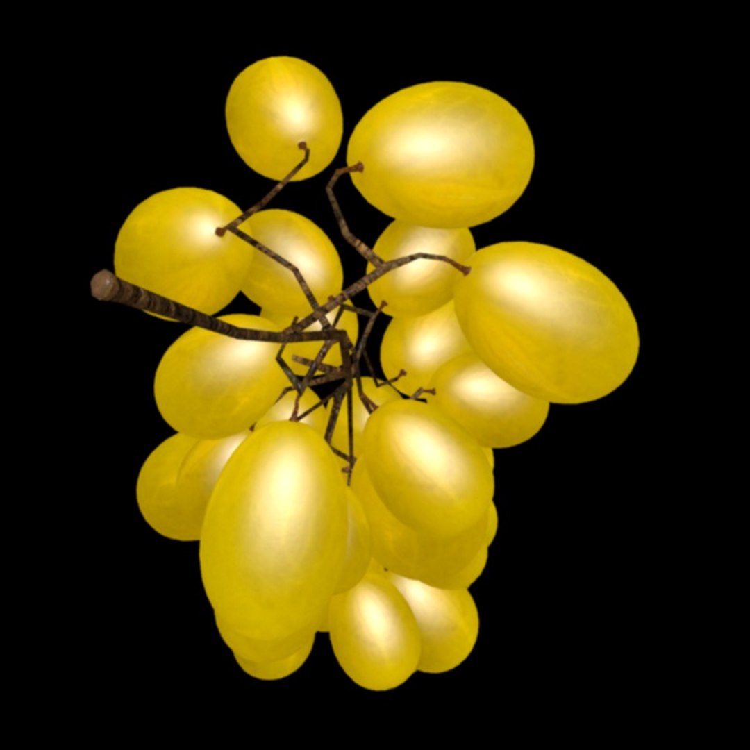 3D grape model https://p.turbosquid.com/ts-thumb/pk/hCCqkV/IPB59hR4/4/jpg/1510927502/1920x1080/fit_q87/c80fd2ae69a1b9840029800b5edf6dd0f164a120/4.jpg
