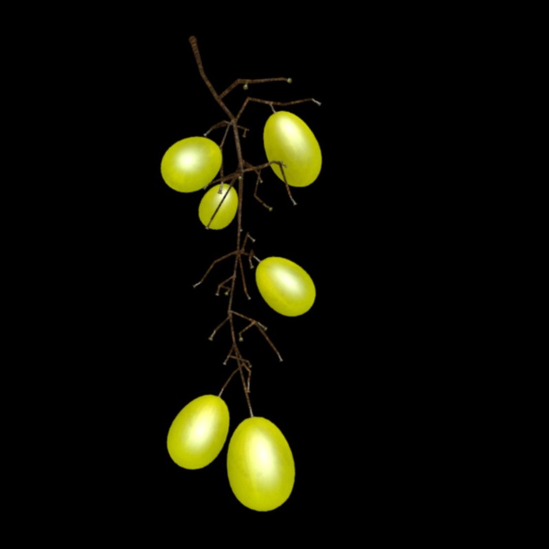 3D grape model https://p.turbosquid.com/ts-thumb/pk/hCCqkV/jU9C8Nxj/8/jpg/1510927502/1920x1080/fit_q87/94cc47a518e9681970ca38224000efa17a66dec6/8.jpg