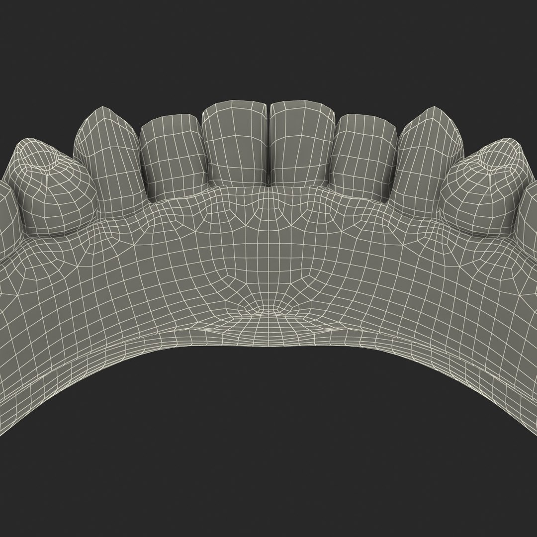Mandible Bone 3d Model