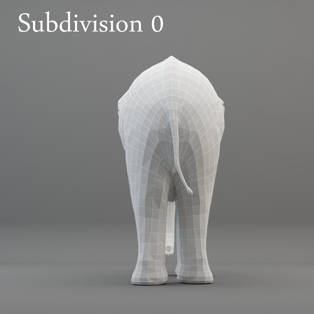 Elephant rigging animation 3D model - TurboSquid 1214497