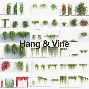 3D Package 07 Hang Vine Collection