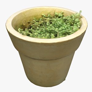 Plant Pot 02 3D