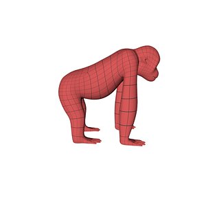3d base mesh orangutan model