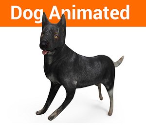 3D german shepherd dog rigged