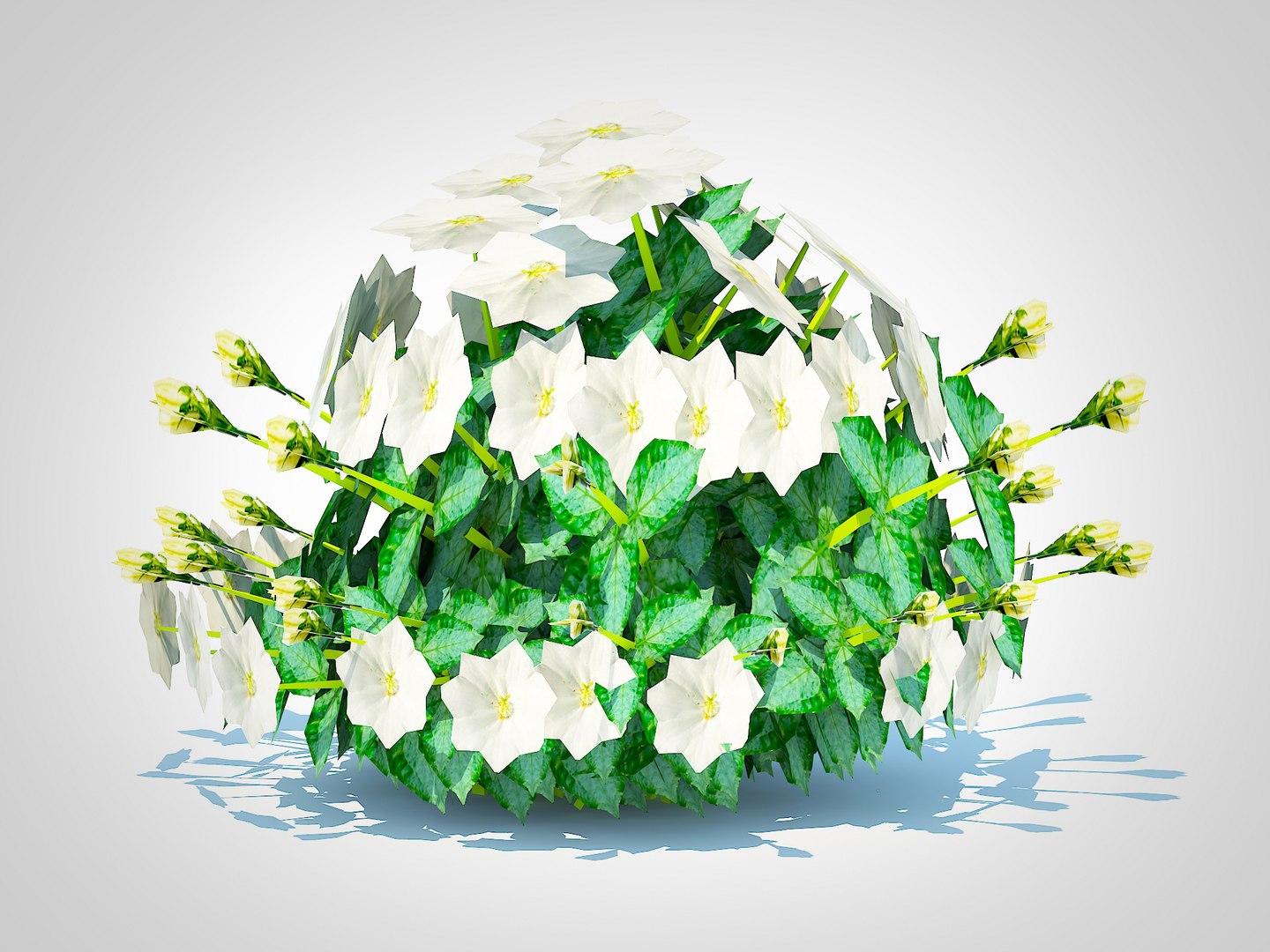 3D Campanula carpatica - Carpathian Bellflower-white https://p.turbosquid.com/ts-thumb/pl/FMC5Zr/Es/5/jpg/1727782592/1920x1080/fit_q87/aaa9813a48f3a90a32e57fcc6790a50a7d80fb71/5.jpg