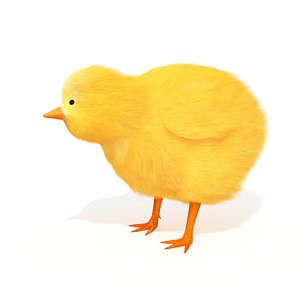 Baby Chick Chicken Farm Animal 3D model