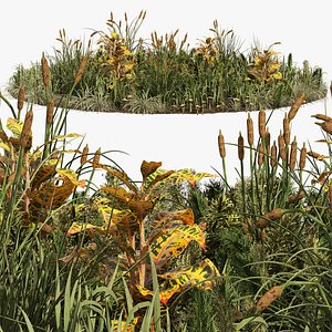 garden plants set 3D model