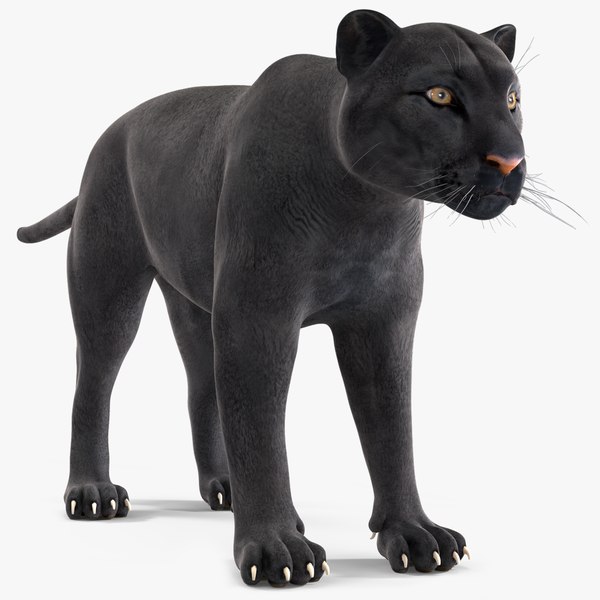 Black Panther model